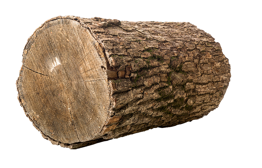 健康を守る天然木材と自然素材